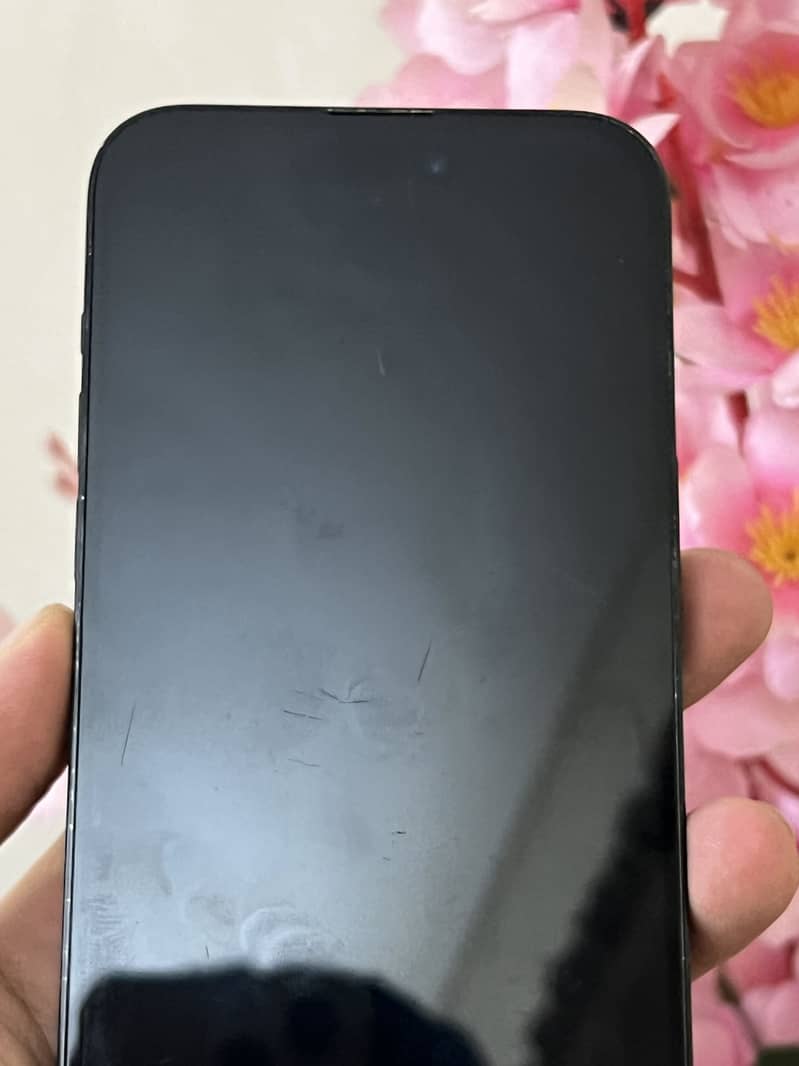 Apple iPhone 14 Pro Max 3
