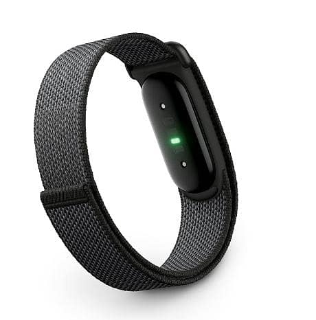 Google Fitbit air 3