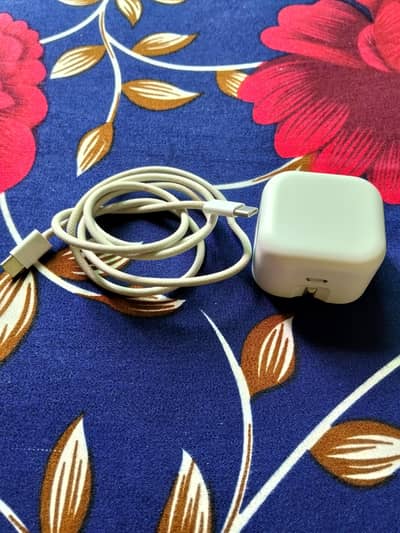 I Phone Original Charger