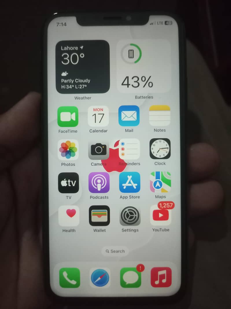 Apple iPhone X 13