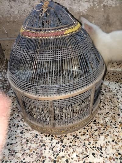 Teether ka cage available ha