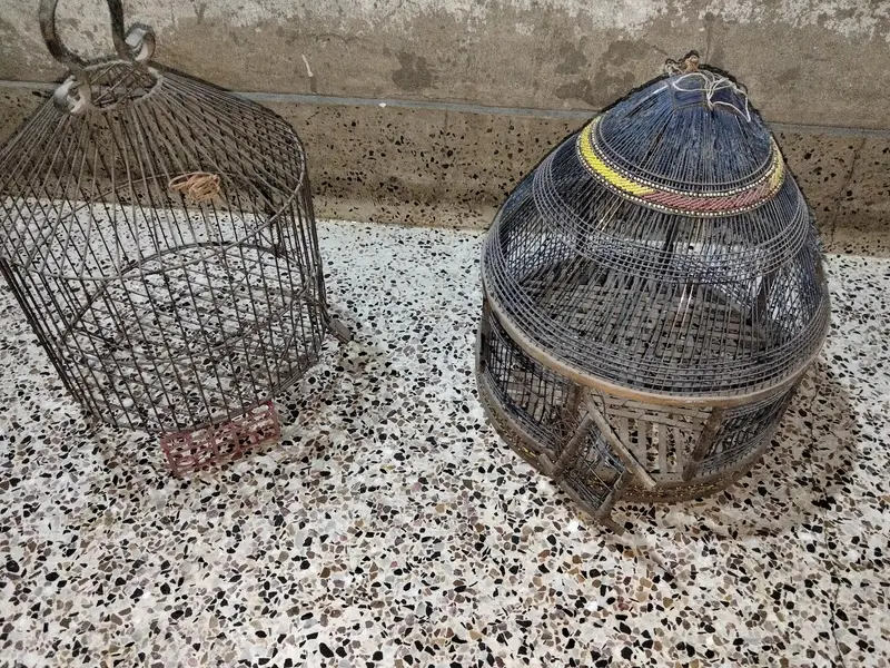 Teether ka cage available ha — photo 5