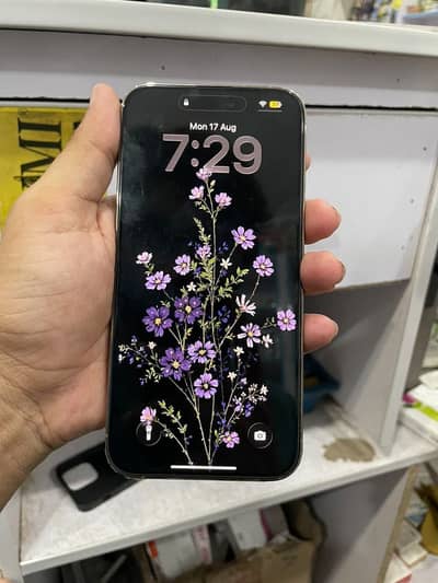 Apple iPhone 14 Pro Max