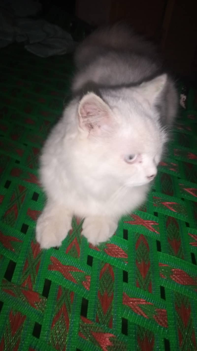 pass k liye 5