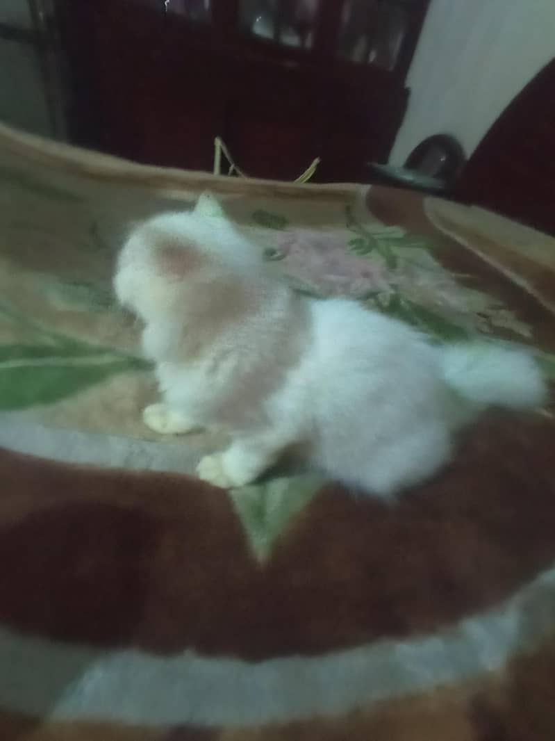 pass k liye 9