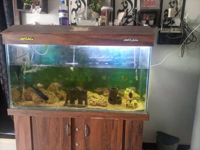 Fish  and aquarium aquarium for sale