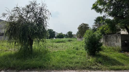 5 Marla Top Location Plot Phase 9 Town Block A