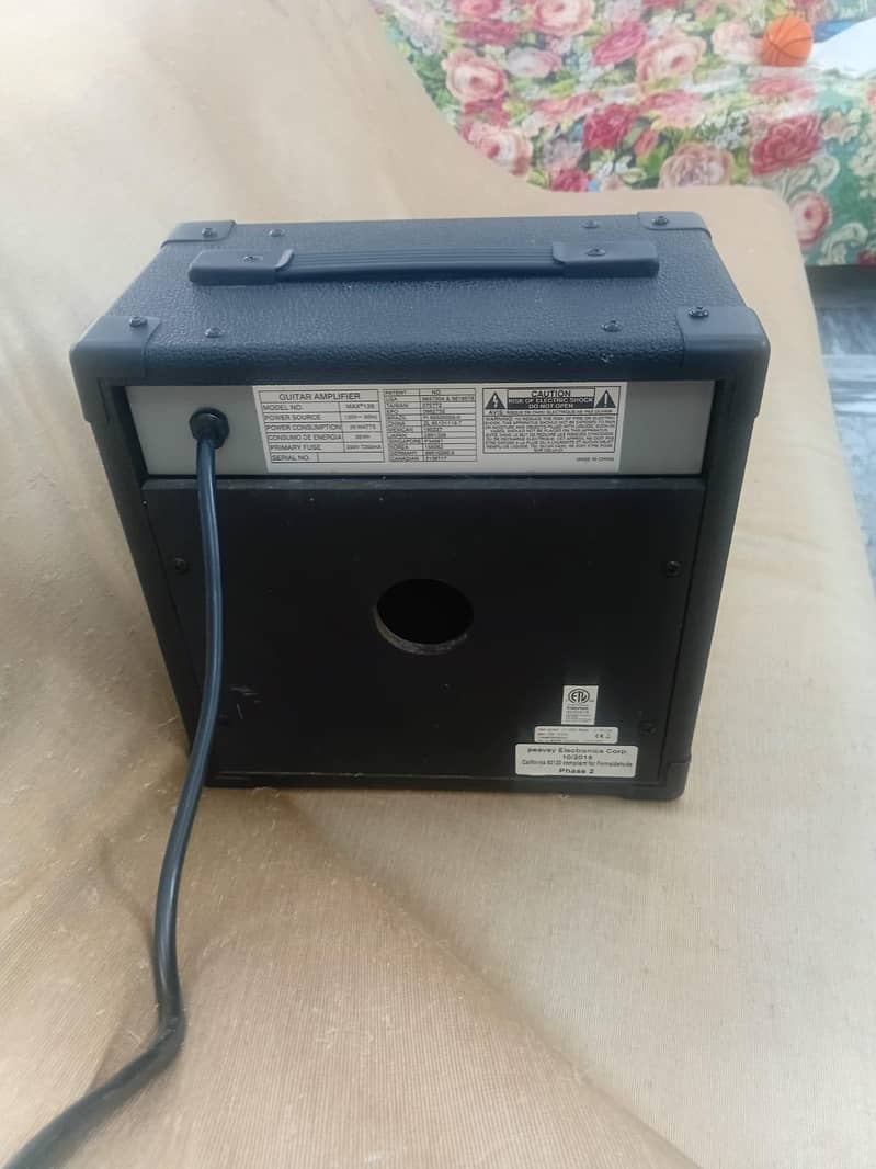 PEVAY AMPLIFIER 1