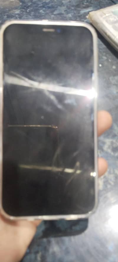 Apple iPhone 12 mani