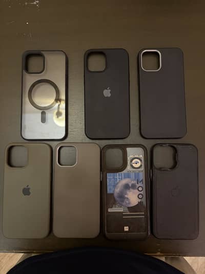 iphone 12 pro max cases best offer
