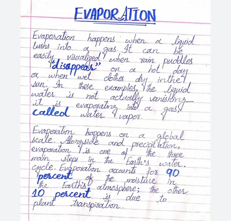 assignment writing 1