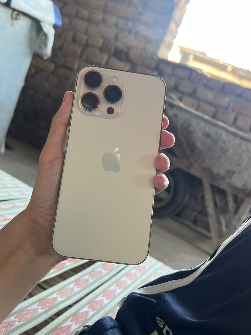 Apple iPhone 14 Pro Max 2