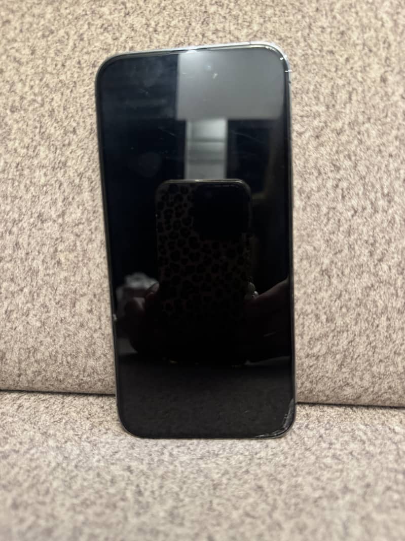 Apple iPhone 14 Pro Max 1