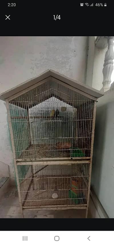 Two portion cage for ringneck or cocktail