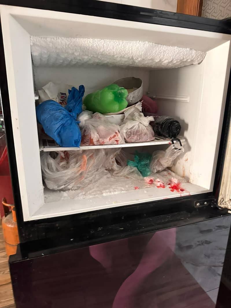 PEL REFRIGERATOR 6