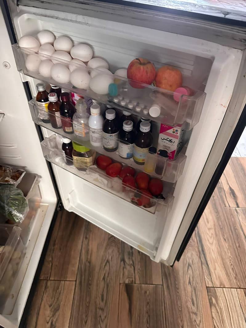 PEL REFRIGERATOR 7
