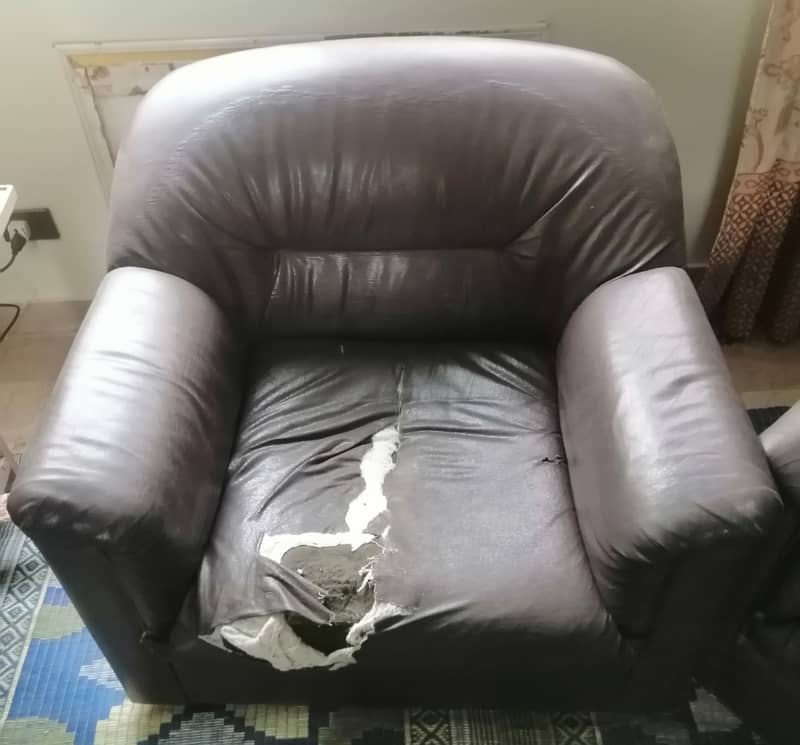 interwood sofa 5