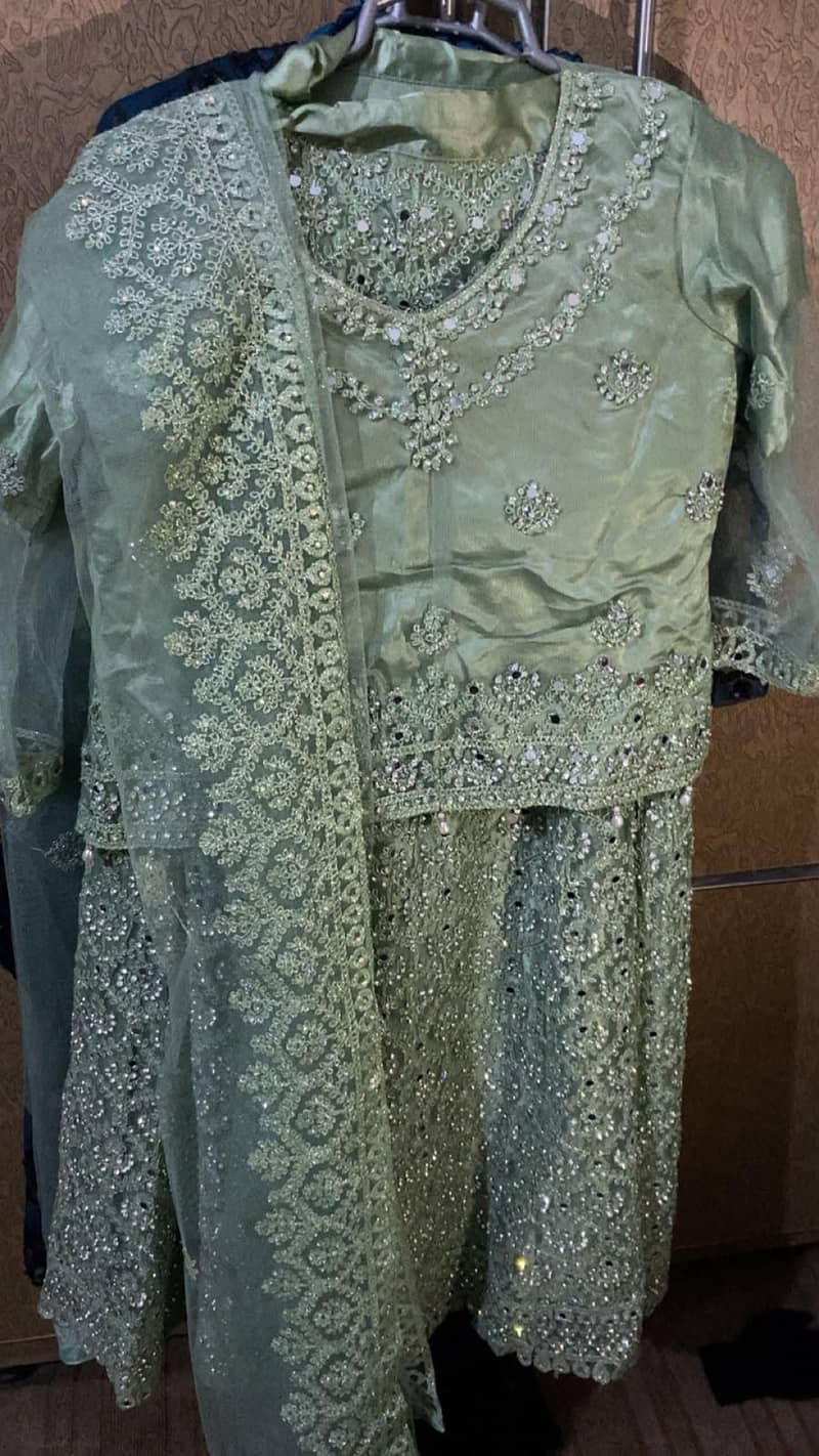 Lehnga 2