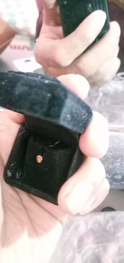 gold nosepin new