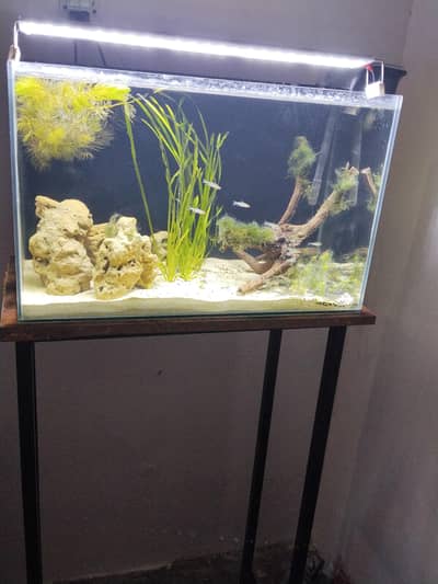 Fish Aquarium sale All Setup