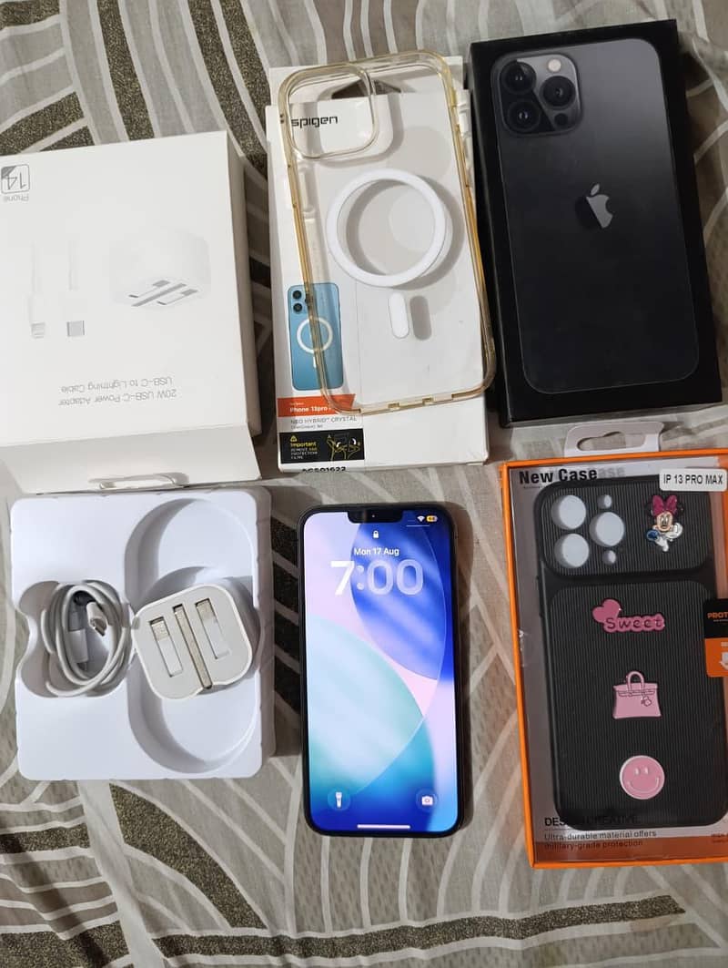 Apple iPhone 13 Pro Max 1