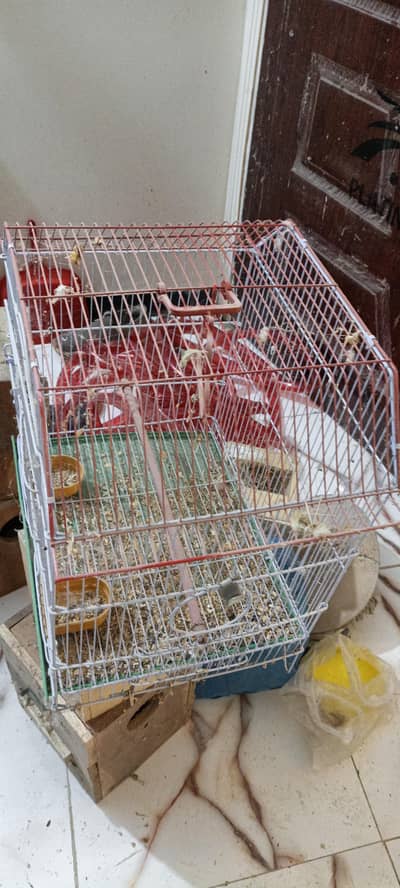 birds lovebirds cockatiel nesting box and cage for sale