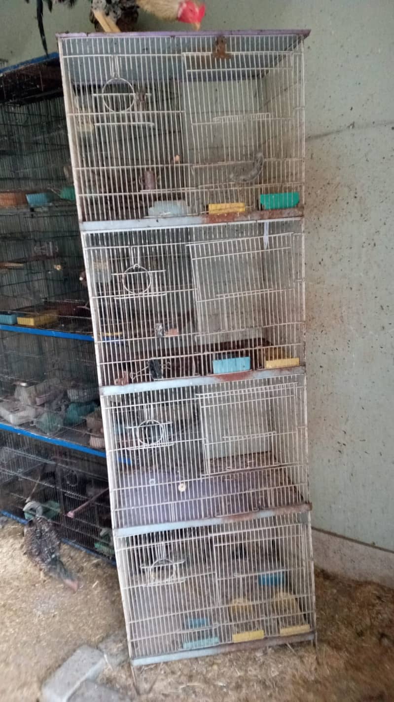 cages boxes 1