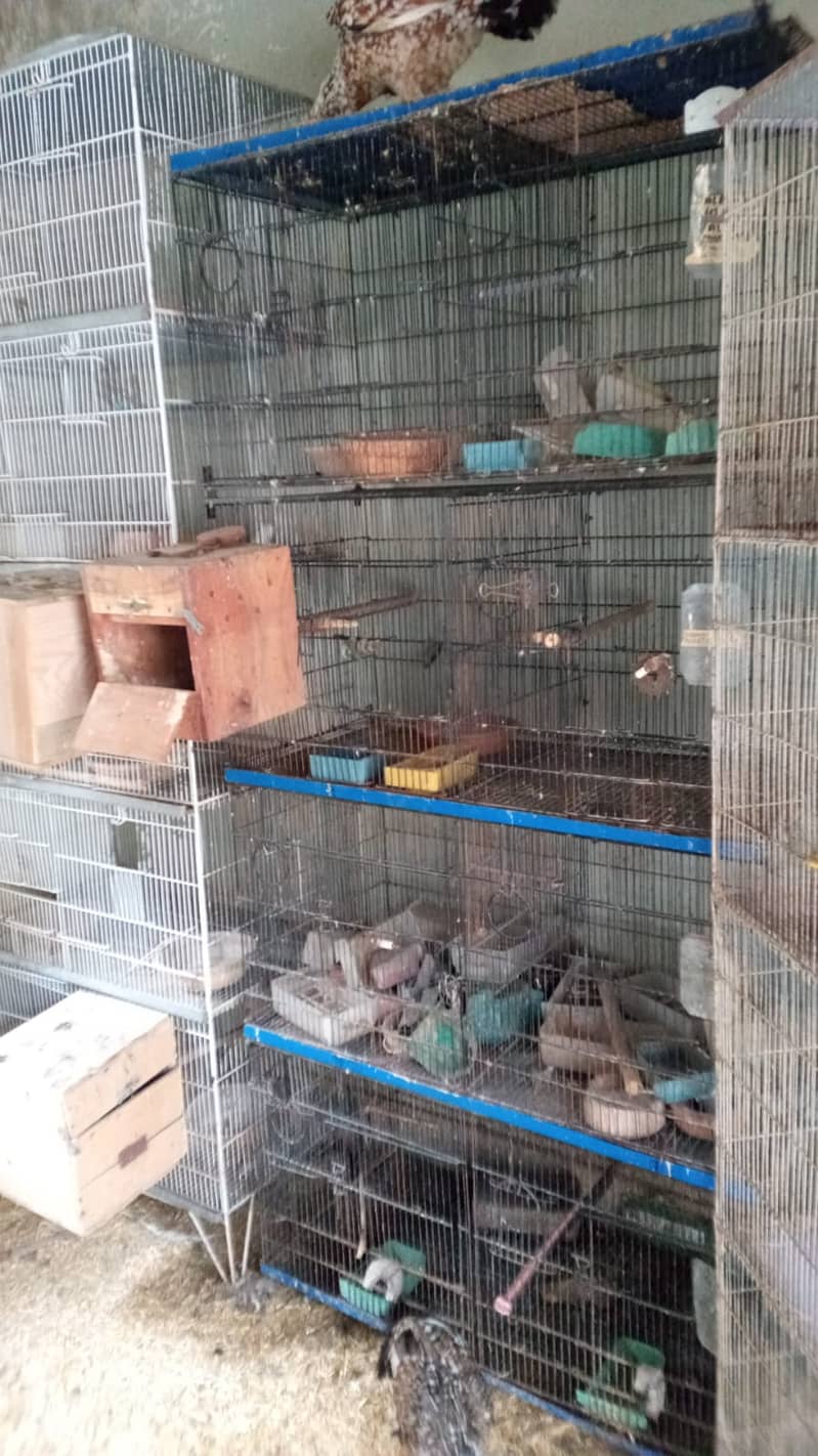cages boxes 2
