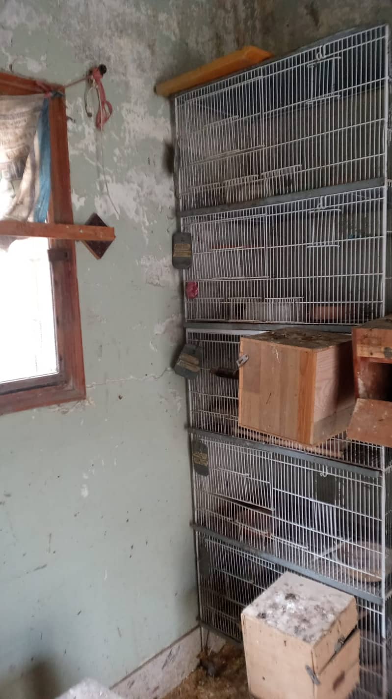 cages boxes 4