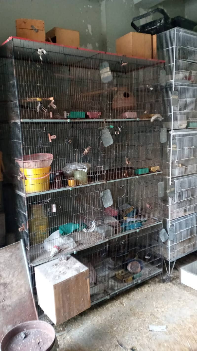 cages boxes 6