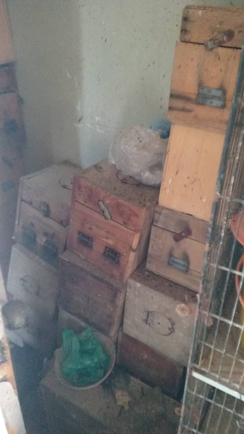 cages boxes 7