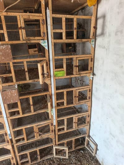 wooden cage