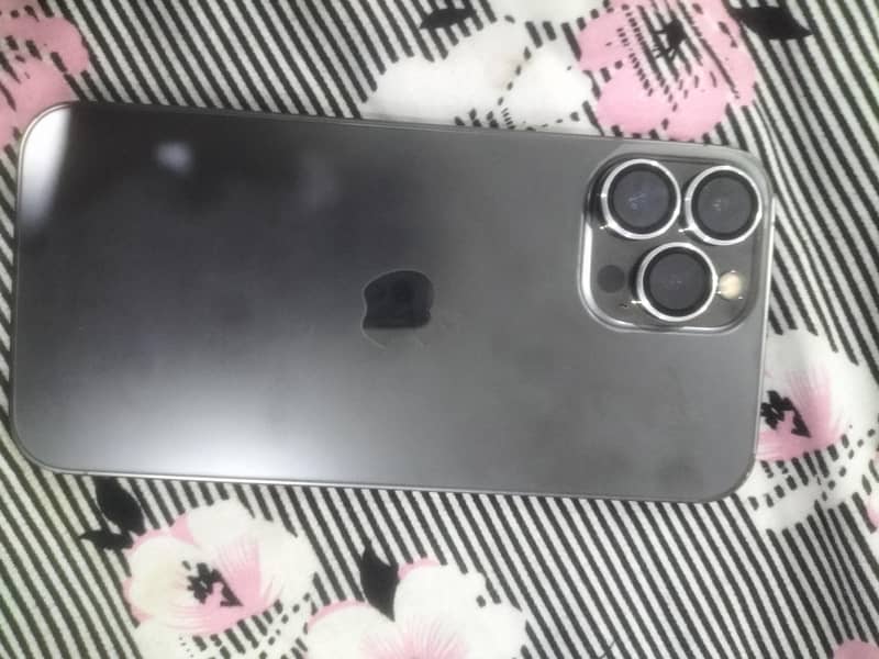 iphone 13 pro max 1