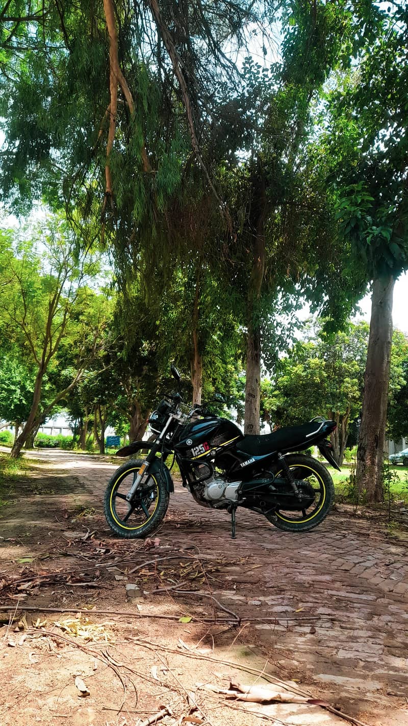 YBR 125G Modified 3