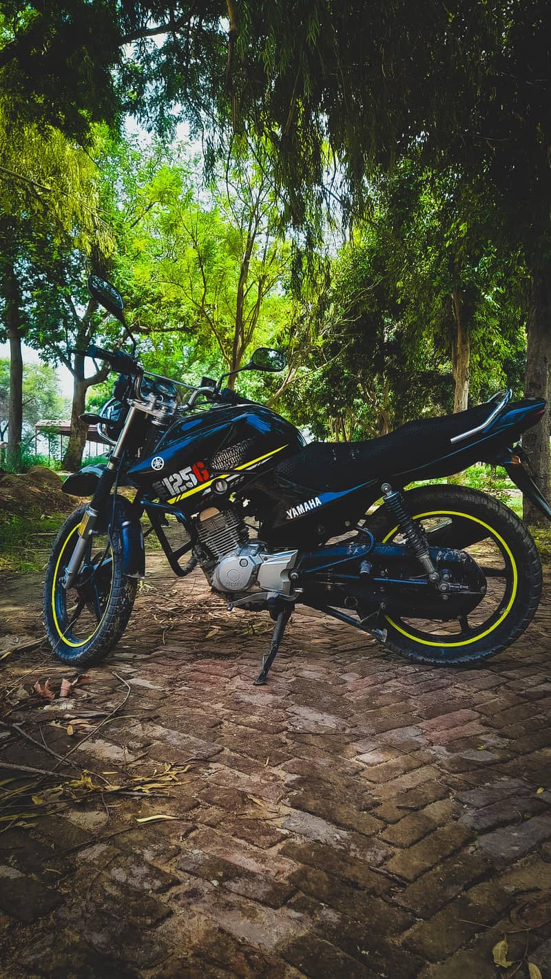 YBR 125G Modified 4