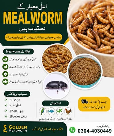 Mealworm Bird food Hen btair duck finches dove