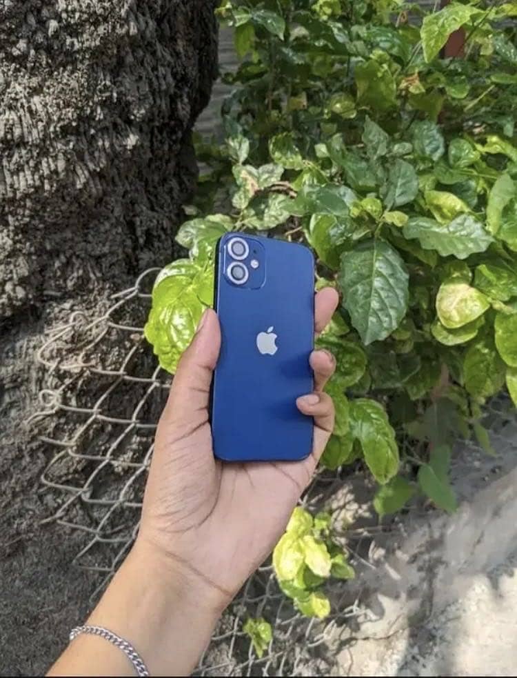 Apple iPhone 12 mini 3