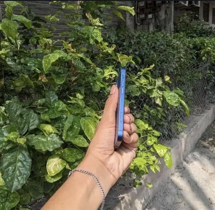 Apple iPhone 12 mini 4