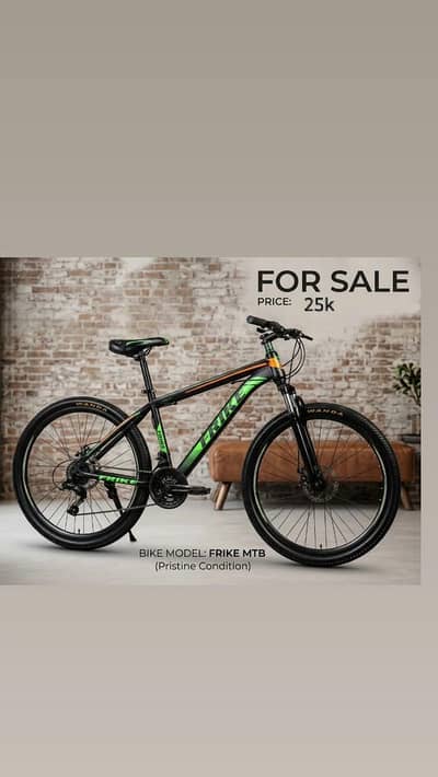 frike mountain bike