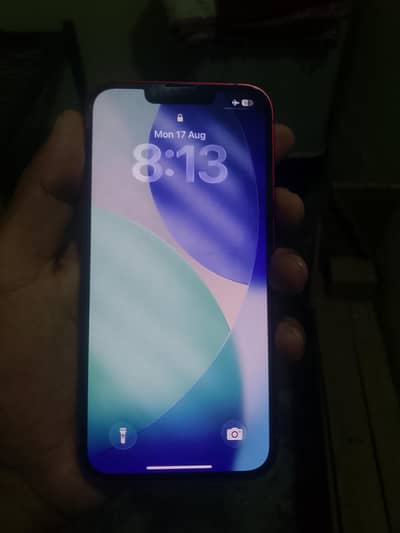 Apple iPhone 13