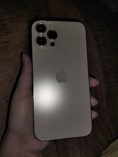 Apple iPhone 12 Pro Max