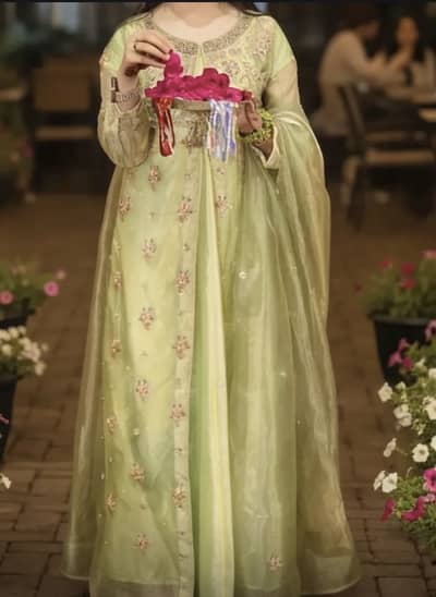 Light Green Embroidered Silk Maxi  | Medium Size