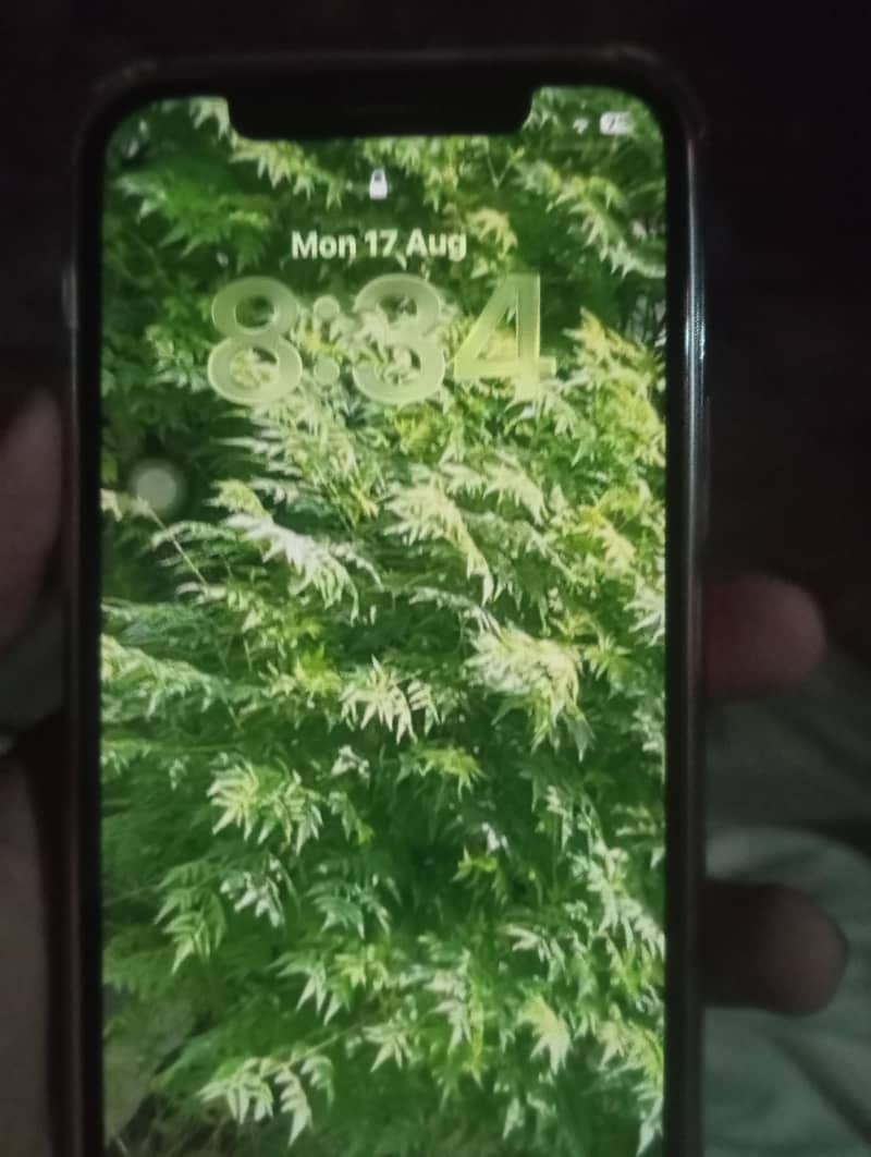 Apple iPhone 12 4