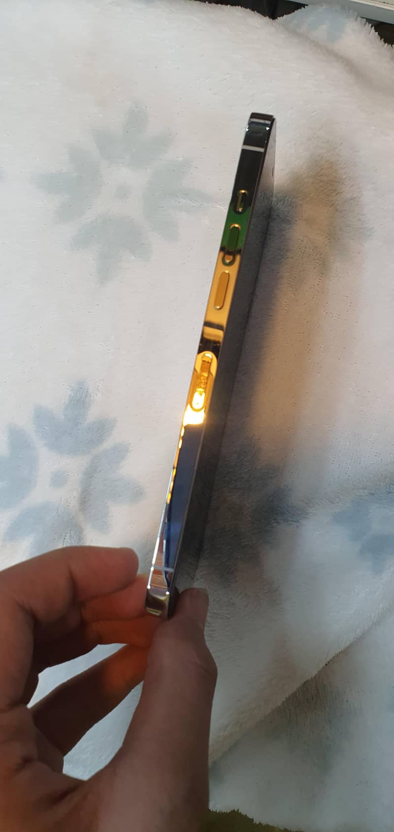 Apple iPhone 12 Pro Max 0