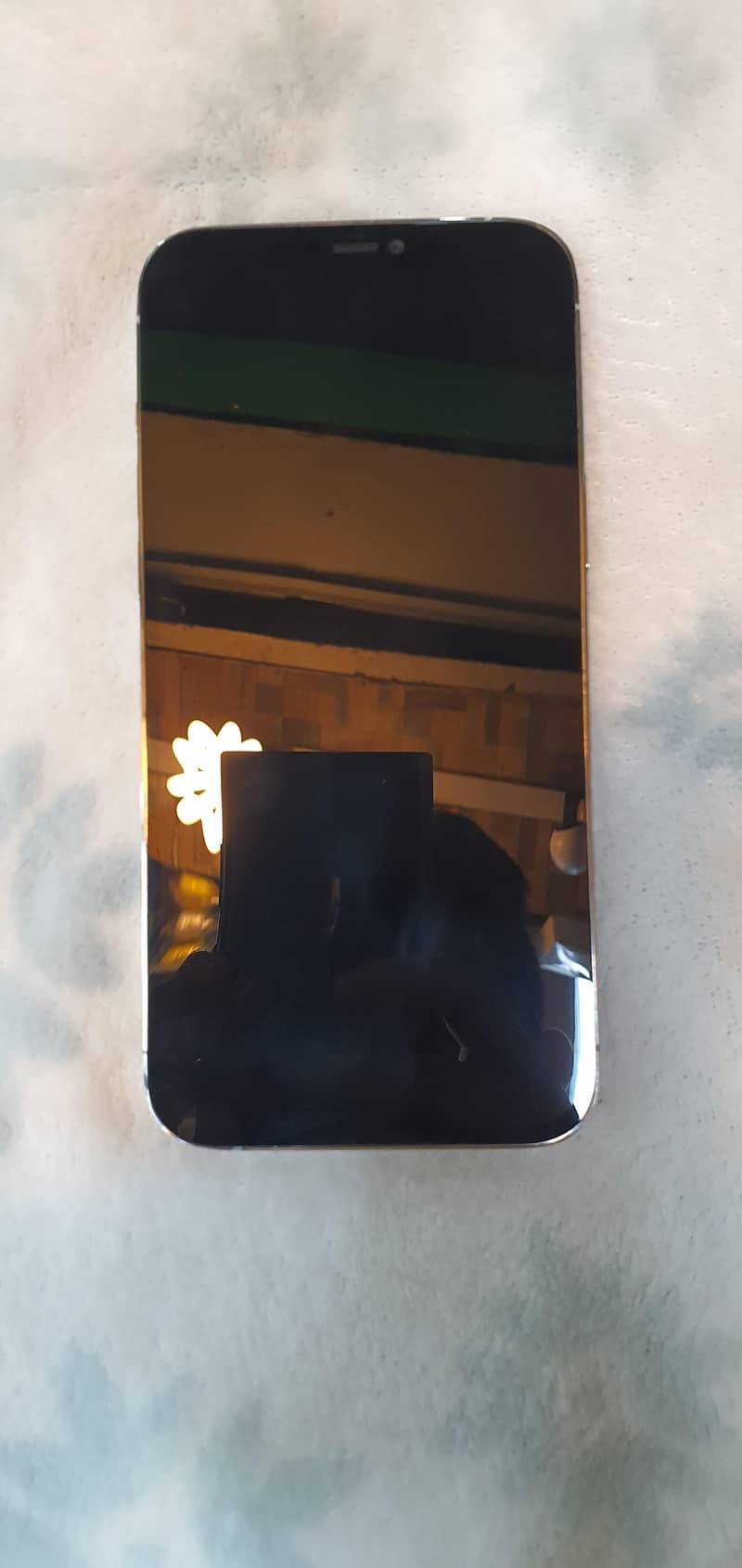 Apple iPhone 12 Pro Max 3