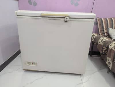 WF210 Waves Deep freezer