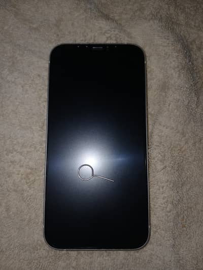 Apple iPhone 12
