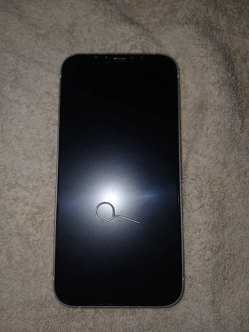 Apple iPhone 12 0