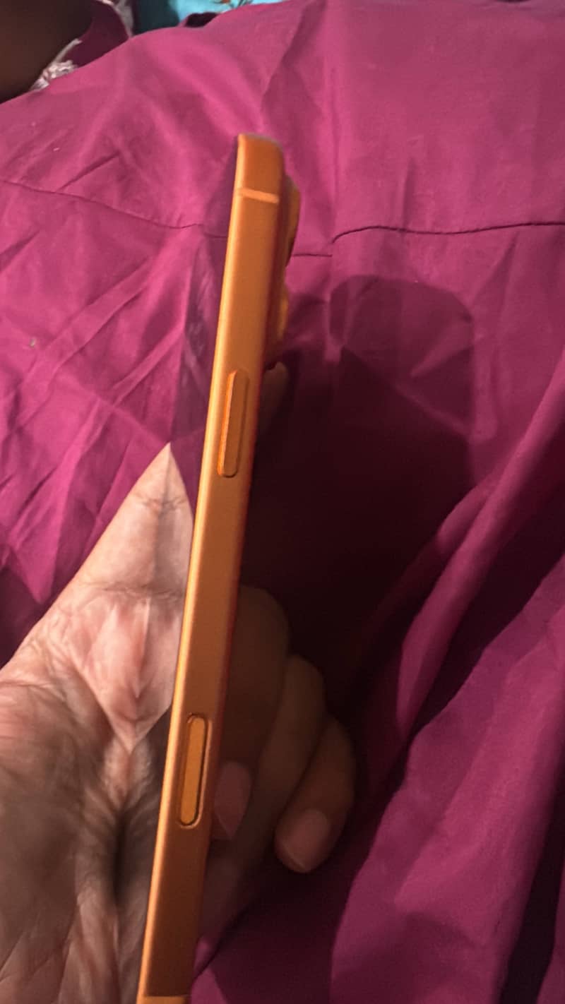 Apple iPhone 17 Pro Max 3