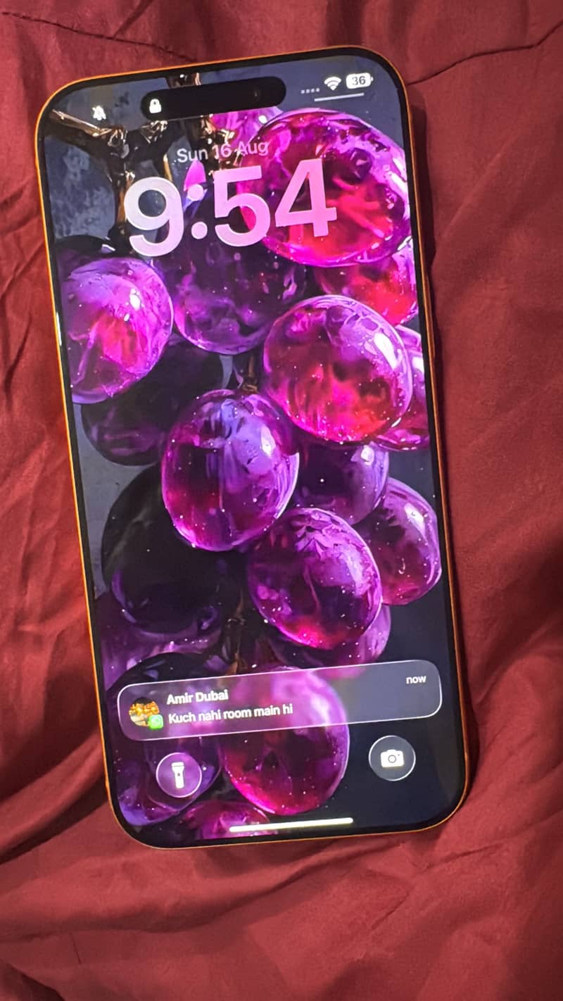 Apple iPhone 17 Pro Max 4